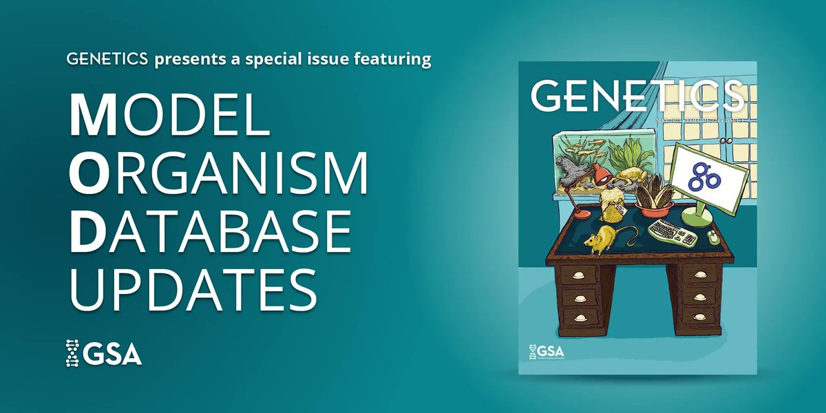 Genetics Society of America (@geneticsgsa) on Twitter photo A new issue of #GENETICS is out today! It features our 2nd annual collection of Model Organism Database articles from <a href="/news4go/">Gene Ontology @go@genomic.social</a> <a href="/ZFINmod/">ZFIN</a> <a href="/Xenbase/">Xenbase</a> <a href="/yeastgenome/">SGD Project @yeastgenome@genomic.social (bsky too)</a> <a href="/MaizeGDB/">MaizeGDB</a> <a href="/ratgenome/">Rat Genome Database</a>. Cozy cover art by <a href="/vividbiology/">Vivid Biology</a> | bit.ly/3VuXmDP A new issue of #GENETICS is out today! It features our 2nd annual collection of Model Organism Database articles from <a href="/news4go/">Gene Ontology @go@genomic.social</a> <a href="/ZFINmod/">ZFIN</a> <a href="/Xenbase/">Xenbase</a> <a href="/yeastgenome/">SGD Project @yeastgenome@genomic.social (bsky too)</a> <a href="/MaizeGDB/">MaizeGDB</a> <a href="/ratgenome/">Rat Genome Database</a>. Cozy cover art by <a href="/vividbiology/">Vivid Biology</a> | bit.ly/3VuXmDP