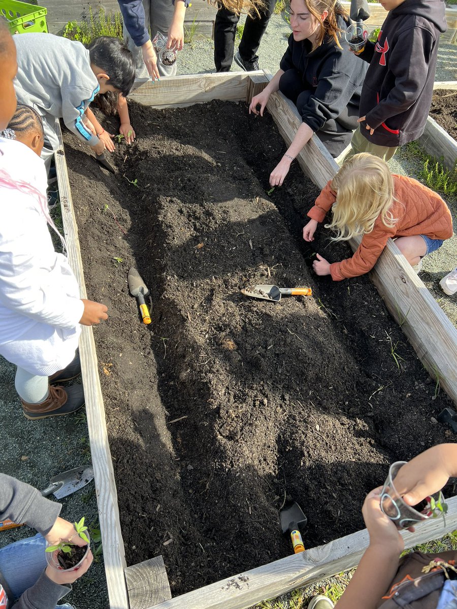 scomorrison's tweet photo. We had SIX classes join us in the #schoolgarden at Elon Elementary today! Yet again, my @elonuniversity students are amazing — #teachingoutside, seeing and sharing brilliance, facilitating interdisciplinary learning. There is nothing like #experientialeducation. #ElonEd https://t.co/lae9lsY6iq