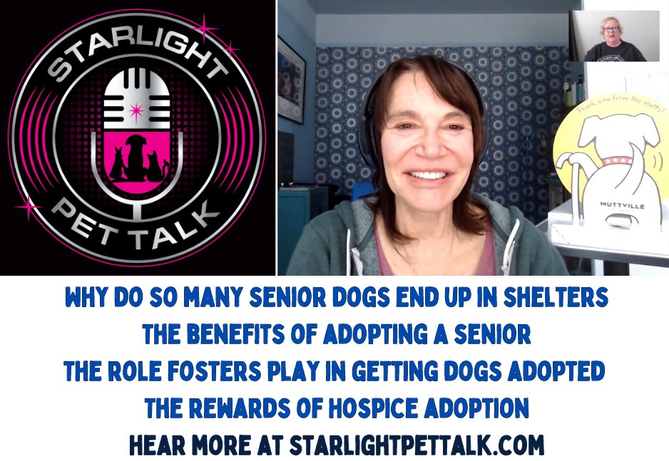 #ThankYouThursday to @amypcastro for hosting Muttville's Sherri Franklin! Listen as Amy explores the world of #seniordog #rescue and #adoption. 🐶 Great interview!

🔊Full interview here: youtu.be/ywWxRhsFcCE

🔊Follow the #podcast! starlightpettalk.com