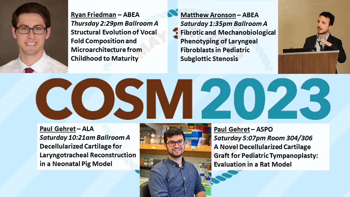 Riccardo Gottardi tweet media