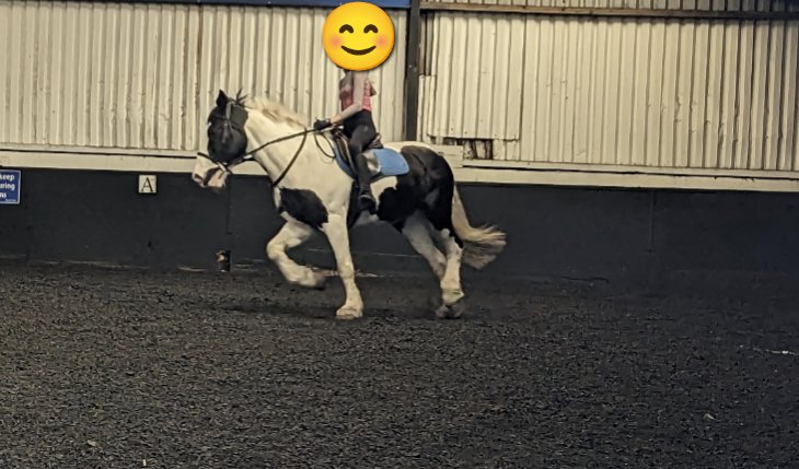 Fantastic to see one of our learners #AchieveSuccess &amp; #AimHigh. Excellent afternoon enjoying all things #Equine. 🐴 #Nurture #Wellbeing