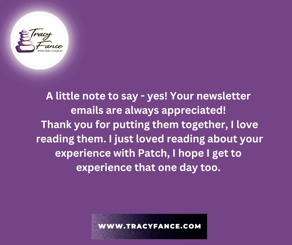 tracy_fance's tweet image. I recently asked for feedback on my newsletter &amp;amp; whether people wanted it. It often feels like I&apos;m writing it for the sake of it, I got lots of lovely feedback. Not on my mailing list? Join now buff.ly/3nmmGzr #freenewsletter #community #coachingwithtracyfance #lifehacks