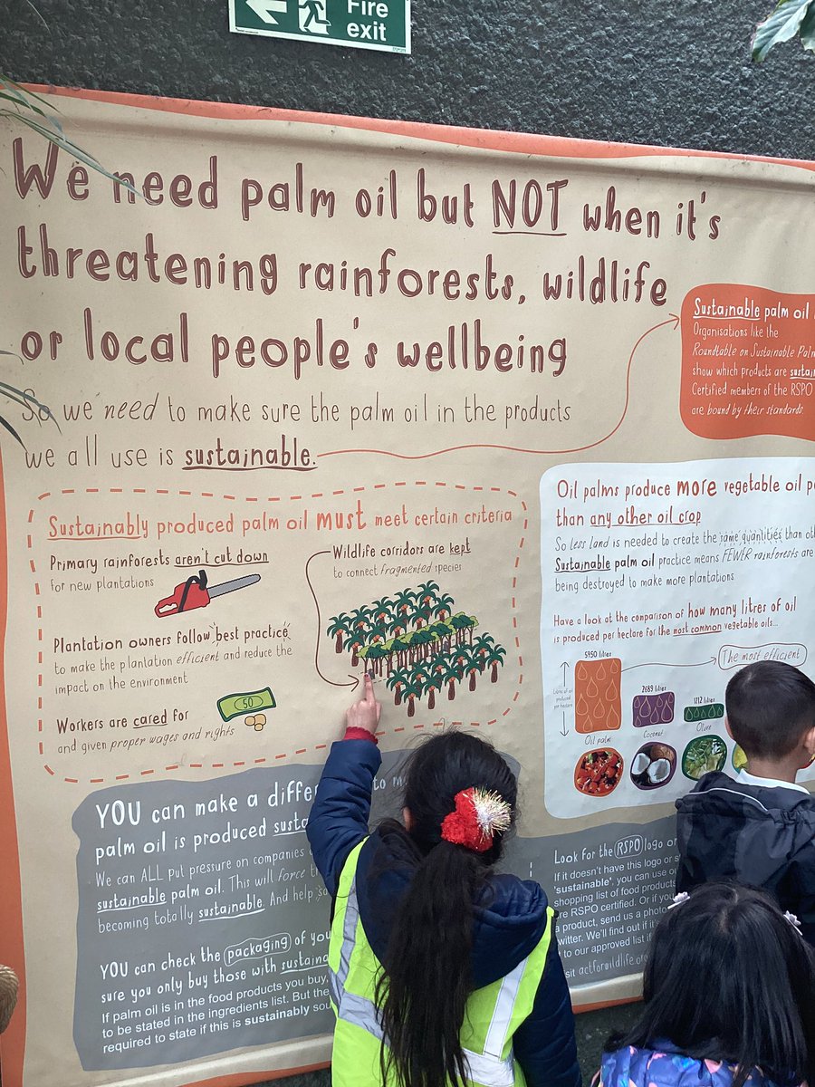 Reception had a fantastic time <a href="/chesterzoo/">Chester Zoo</a> learning all about animals and their habitats. We also learnt more about ocean pollution and threats to the rainforest. We are going to be completing a sponsored walk soon to help the endangered animals. #savetherainforests <a href="/WWF/">WWF</a>
