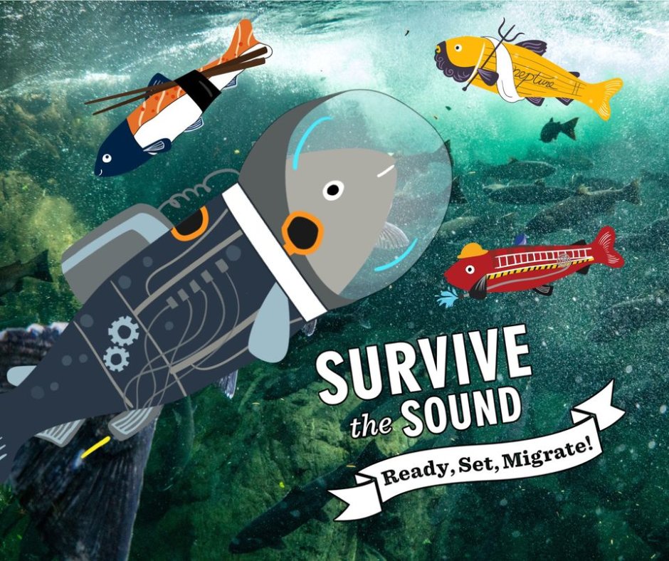 foundry10Ed's tweet photo. Give a person a fish, and they'll be fed for a day. Pick a fish for #SurviveTheSound, and youβll help restore wild salmon and steelhead for generations. Discover what conservation and education resources @Longlivekings has here: https://t.co/8O00cE4CMQ https://t.co/c1CPmhnGLI