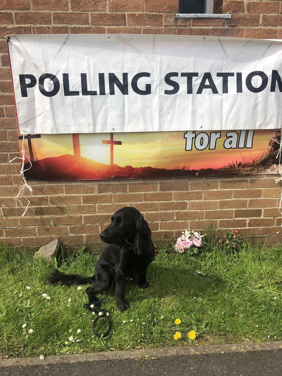 Lee Marlow tweet media