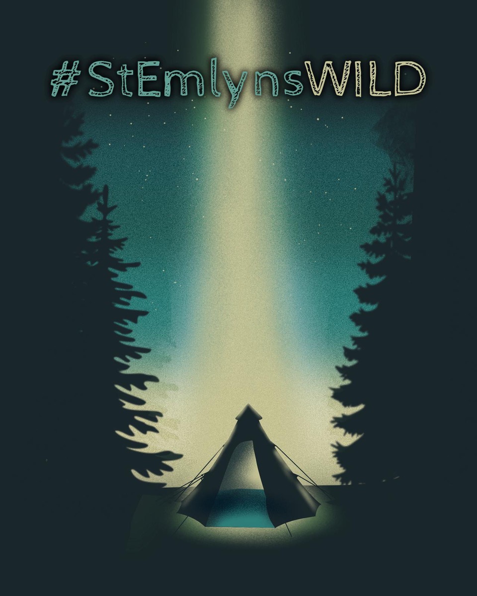 are you interested in EM or trauma? Are you interested in developing your skills and understanding? are you interested in hanging out for the weekend in the beautiful Lake District with like minded souls doing all of that in the wild? Are you free June 9-11? Join us #stemlynsWILD