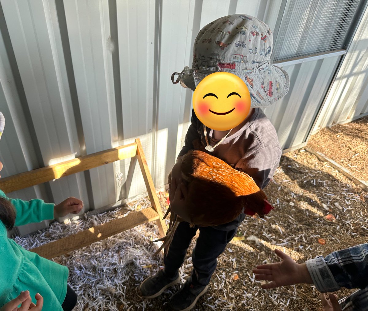 MissTNgo's tweet photo. Lots of cuddles for the chickens today 🐓 #acuedu_p https://t.co/GFoQf9qKFR