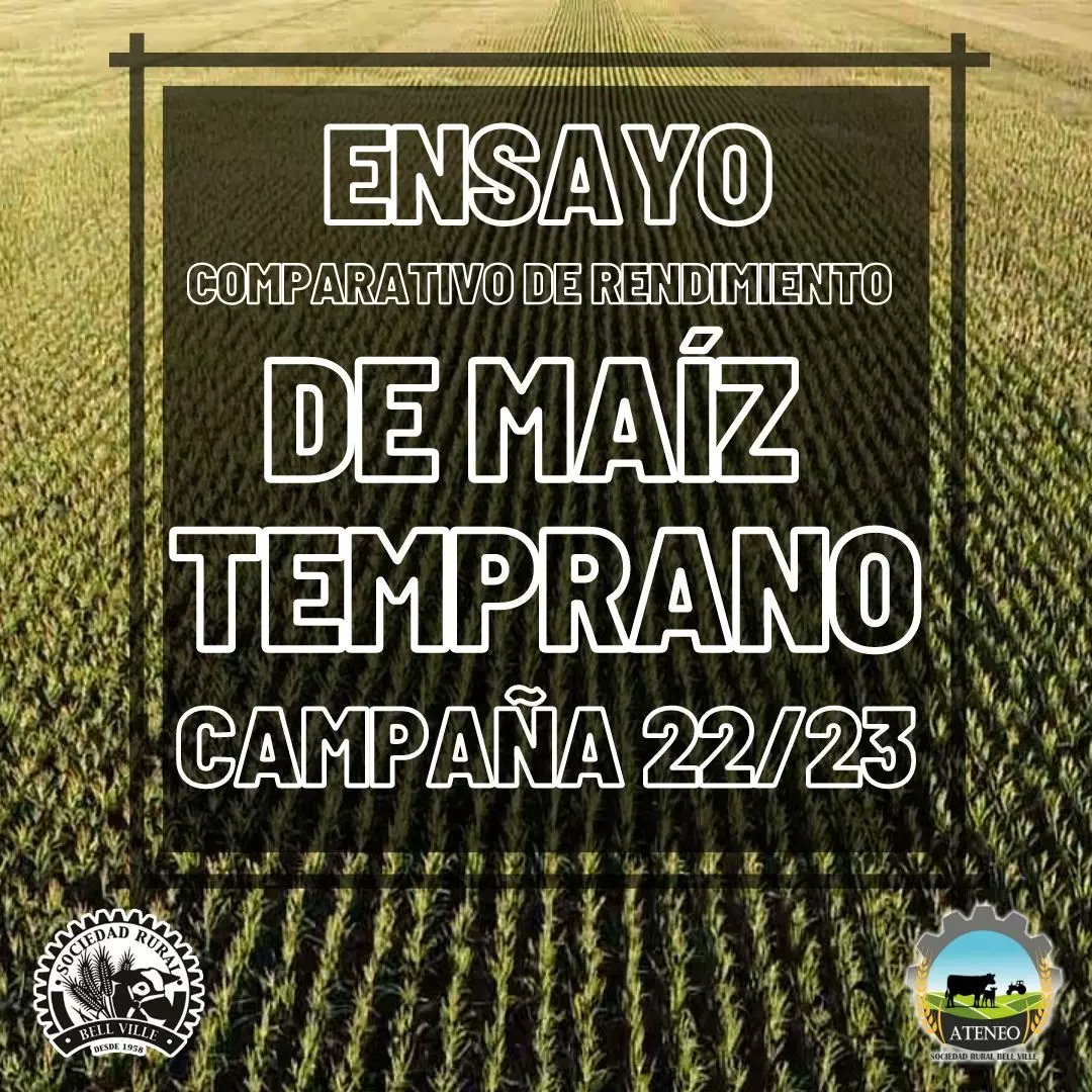 ateneosrbv's tweet photo. Recolección de datos ECR 🌽

El día 18 de abril llevamos adelante la cosecha de nuestro Ensayo comparativo de Rendimiento de híbridos de Maiz temprano 🚜

Una vez más agradecemos a toda las empresas por participar y permitirnos llevar adelante este ensayo. https://t.co/GPp5t9d1jF
