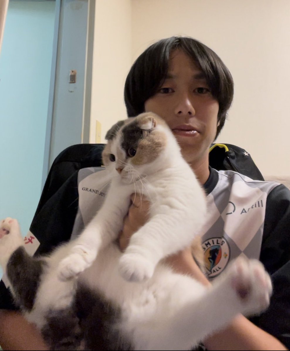 risingPANsan's tweet image. 明日は気温も暑く☀️
試合も熱い展開になるので🔥
熱中症対策で業務用冷蔵庫をご持参ください！
うちの大開脚スコッティッシュ三毛猫のパンも応援してます🎌

#SMILERS
#スマイラーズ
#ReelZLEAGUE 
#パンちゃん日記