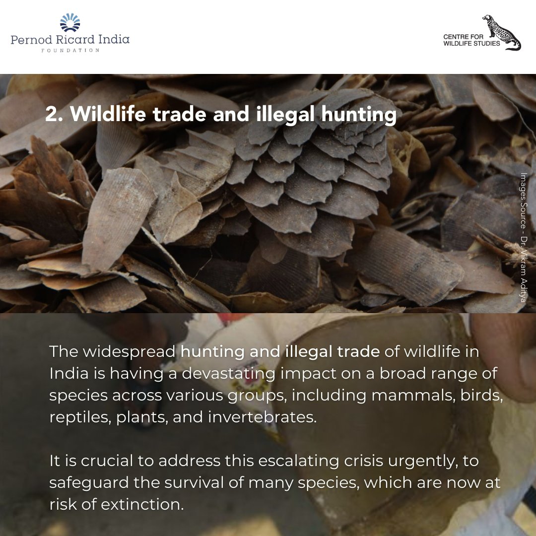 cwsindia's tweet photo. It is important to take action to protect wildlife habitats and prevent further biodiversity loss.

However, biodiversity and habitat protection requires attention to factors like human-wildlife interactions, wildlife trade and hunting, one health, restoration and rewilding. https://t.co/HMO1LQh39q