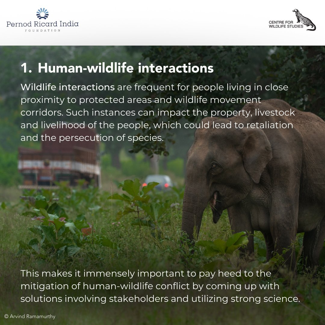 cwsindia's tweet photo. It is important to take action to protect wildlife habitats and prevent further biodiversity loss.

However, biodiversity and habitat protection requires attention to factors like human-wildlife interactions, wildlife trade and hunting, one health, restoration and rewilding. https://t.co/HMO1LQh39q