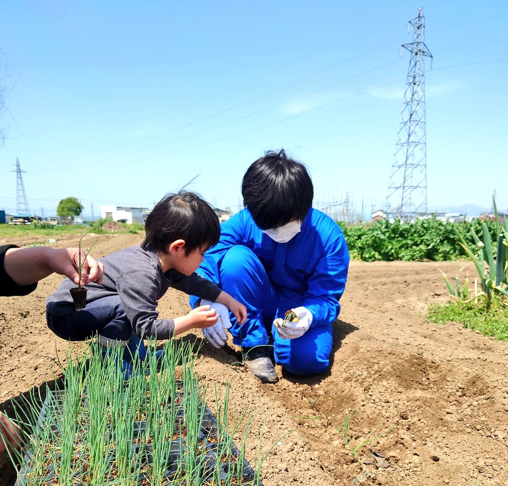 今日は お手伝い君が来てくれましたよ💪

春は とっても忙しいので助かります。
お兄ちゃんが植え付け
2歳の弟くんが 苗を渡す係

優しく丁寧に 苗出し、植え付けをしてくれました

ありがとうね
 #長ネギ植え付け