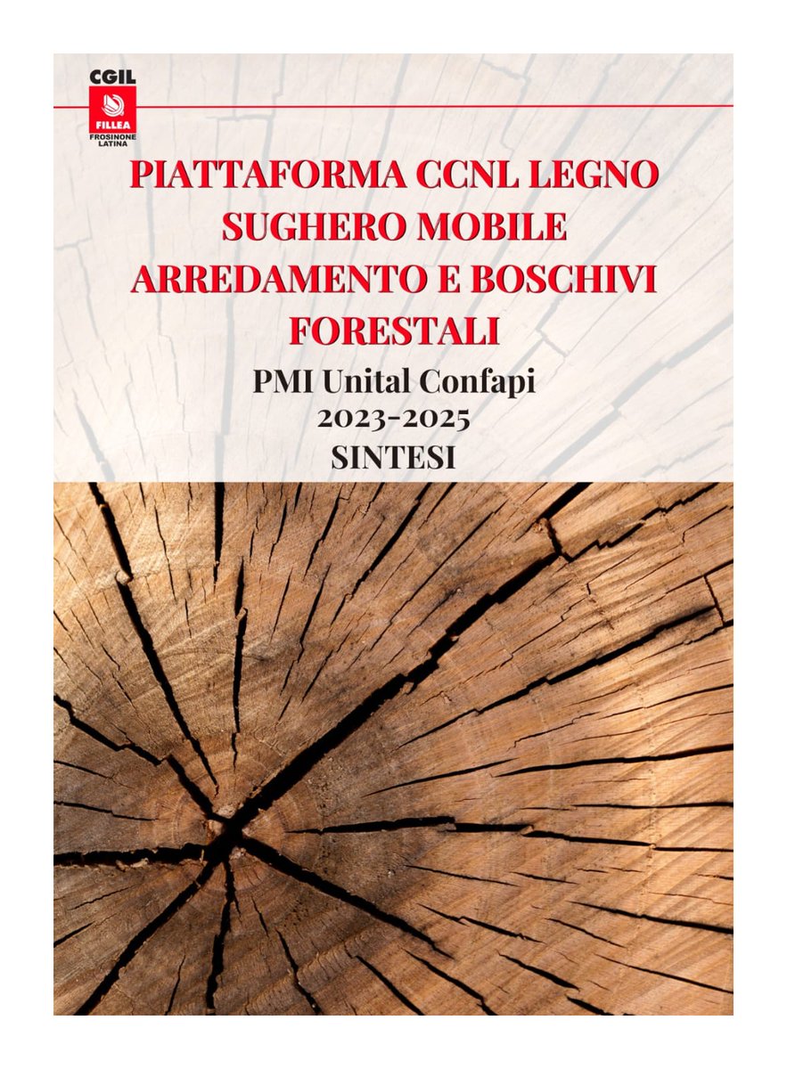 Fillea_Cgil's tweet photo. Piattaforma CCNL legno, sughero, mobili arredamento e boschivi forestali. Il contratto deve conservare e valorizzare la sua funzione di controllo e gestione del comparto produttivo. I punti salienti della piattaforma 👇👇👇

#filleacgilfrosinonelatina #filleacgil #ccnllegno https://t.co/p0Lc0NRTH1