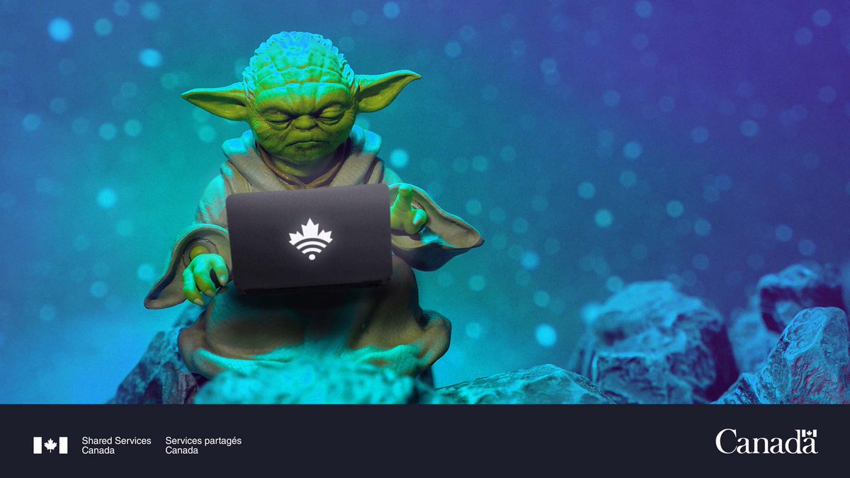 SSC_CA's tweet photo. At SSC, we are using the force to deliver #Digital services to our #GCPartners. On this day, #MayThe4th be with your #IT infrastructure. https://t.co/YliecTSoES