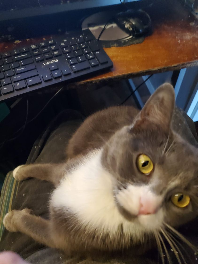 My little girl, Rosalind.