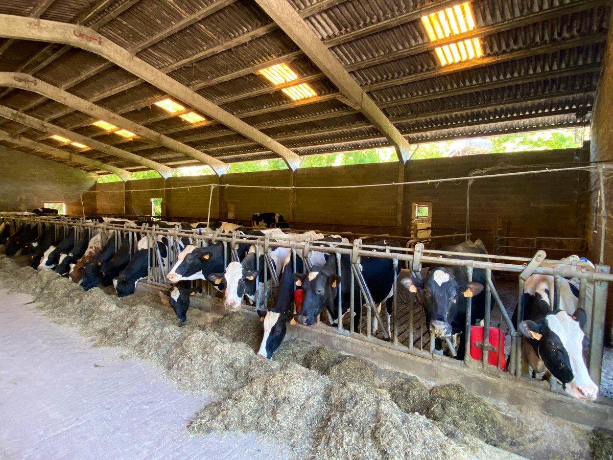 afca_es's tweet photo. Visitamos a los hermanos Miguel y Sandra en la #ganadería Garma, en Trasvilla - Escobedo de Villafufre. ¡Un placer y un orgullo conocer ganaderos jóvenes y apasionados por las #vacas de #leche!
Podréis conocerlos en la revista de junio. 🐄📖🐄
https://t.co/gfsNeHo2E5 https://t.co/XivDEg0Kzs