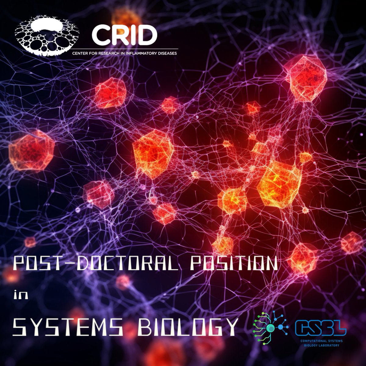 helder_nakaya's tweet photo. We are seeking an enthusiastic candidate for an August-start #postdoc position in the captivating field of "Systems Biology of Inflammatory Diseases" at CRID (Center for Research in Inflammatory Diseases), as part of my lab (https://t.co/9x3d5ydg9H). https://t.co/nd1uQWeNEF