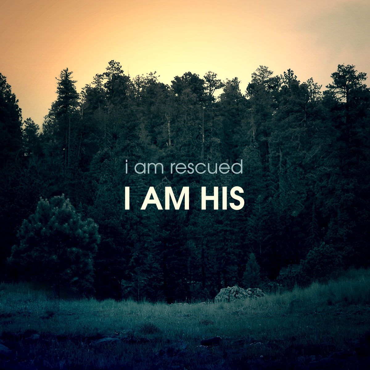 PHDiscipleship tweet picture