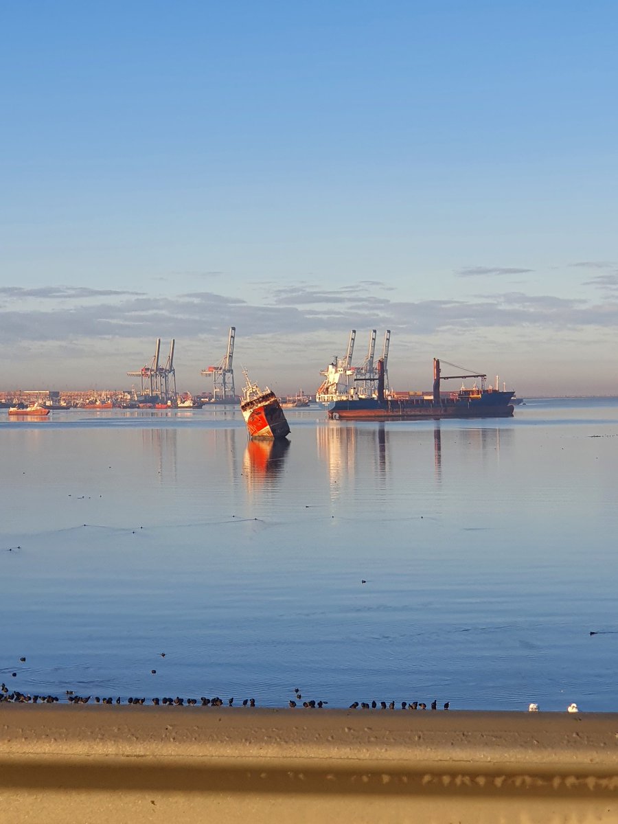 aleborques's tweet image. Cuando Montevideo hace alarde de sus colores #montevideo