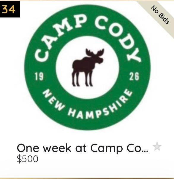 FriendsofLane1's tweet photo. Sooooo Many Items/Activities/Camps for Kids &amp; Families in the Auction:
https://t.co/brhiN4wzz0 or text GreenGold23 to 76278

#FriendsofLane #Green&amp;Gold2023 #LaneTech #LaneTechHS #LaneTechAlumni https://t.co/UGv9YmOn17