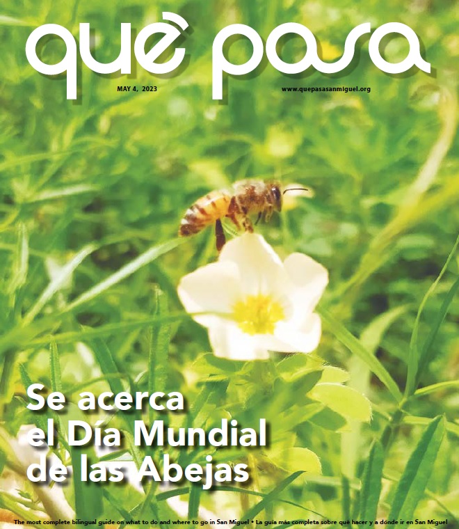 Que Pasa San Miguel April 27 - mailchi.mp/atencionsanmig…