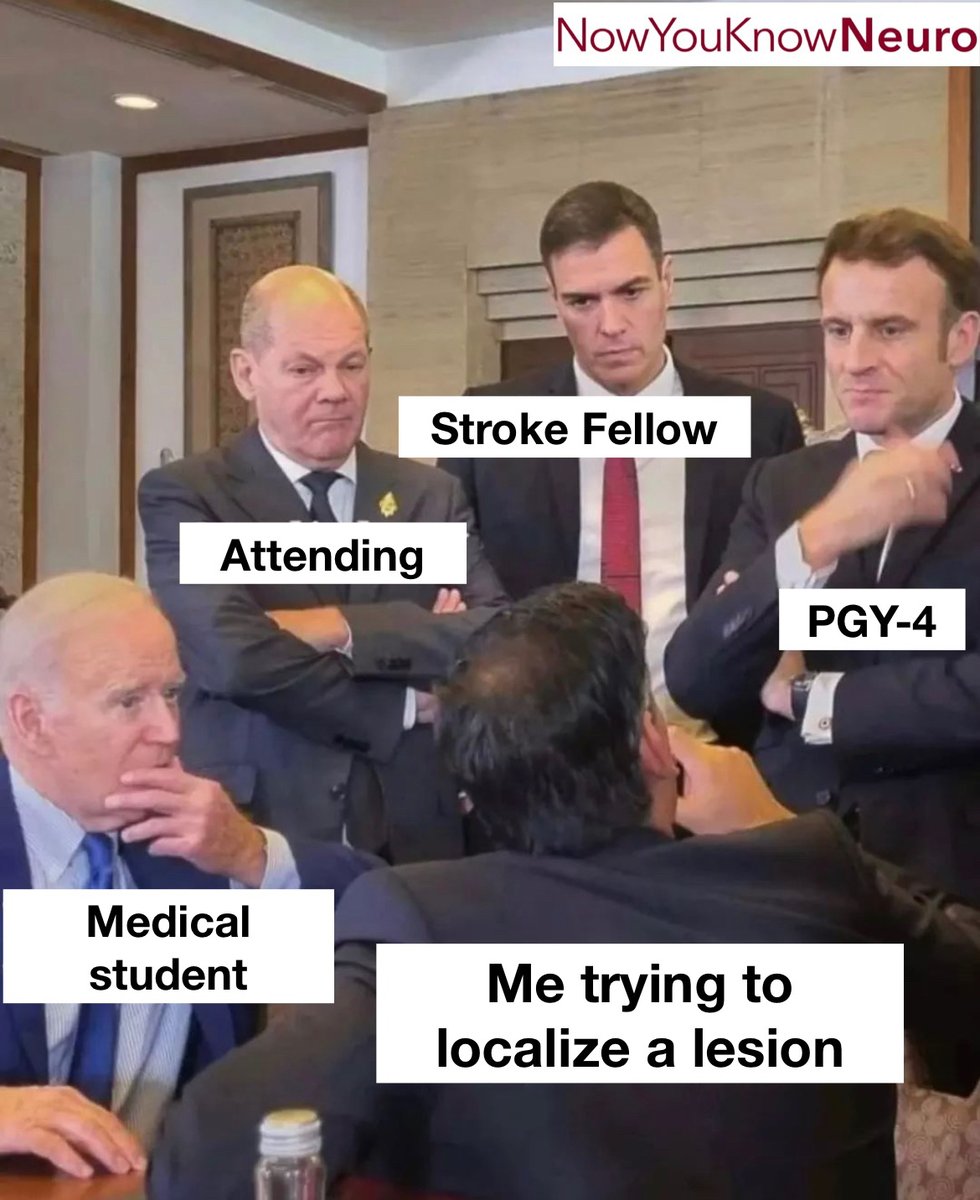 “I think the lesion is either in the brain, brainstem, spinal cord, nerve root, nerve, neuromuscular junction, or muscle.” -Anonymous Neurology Resident

#neurology #medschoollife #medicalmemes #neurotwitter #neurologyresident