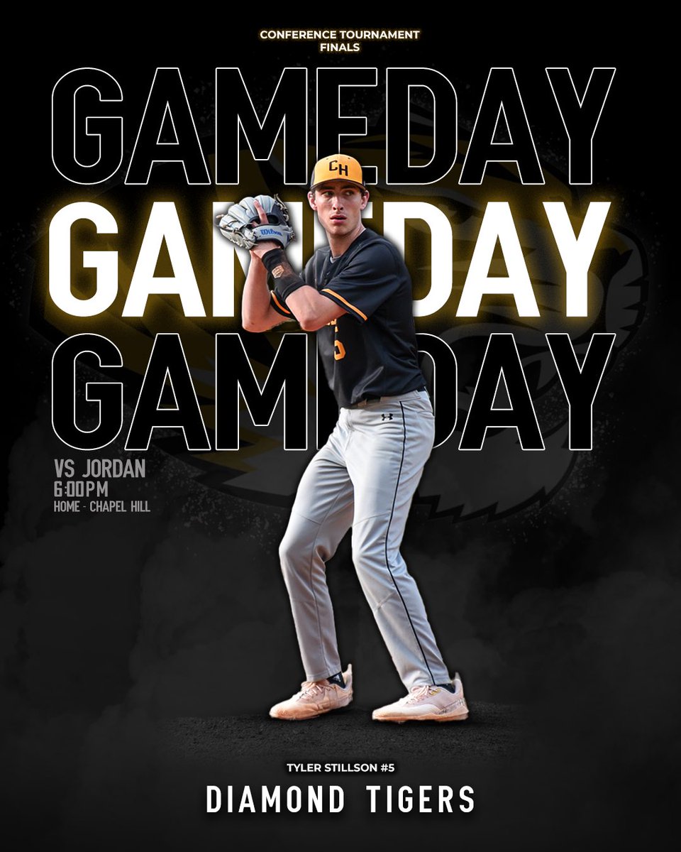 Diamond Tigers (@chtigersbsb) on Twitter photo 
