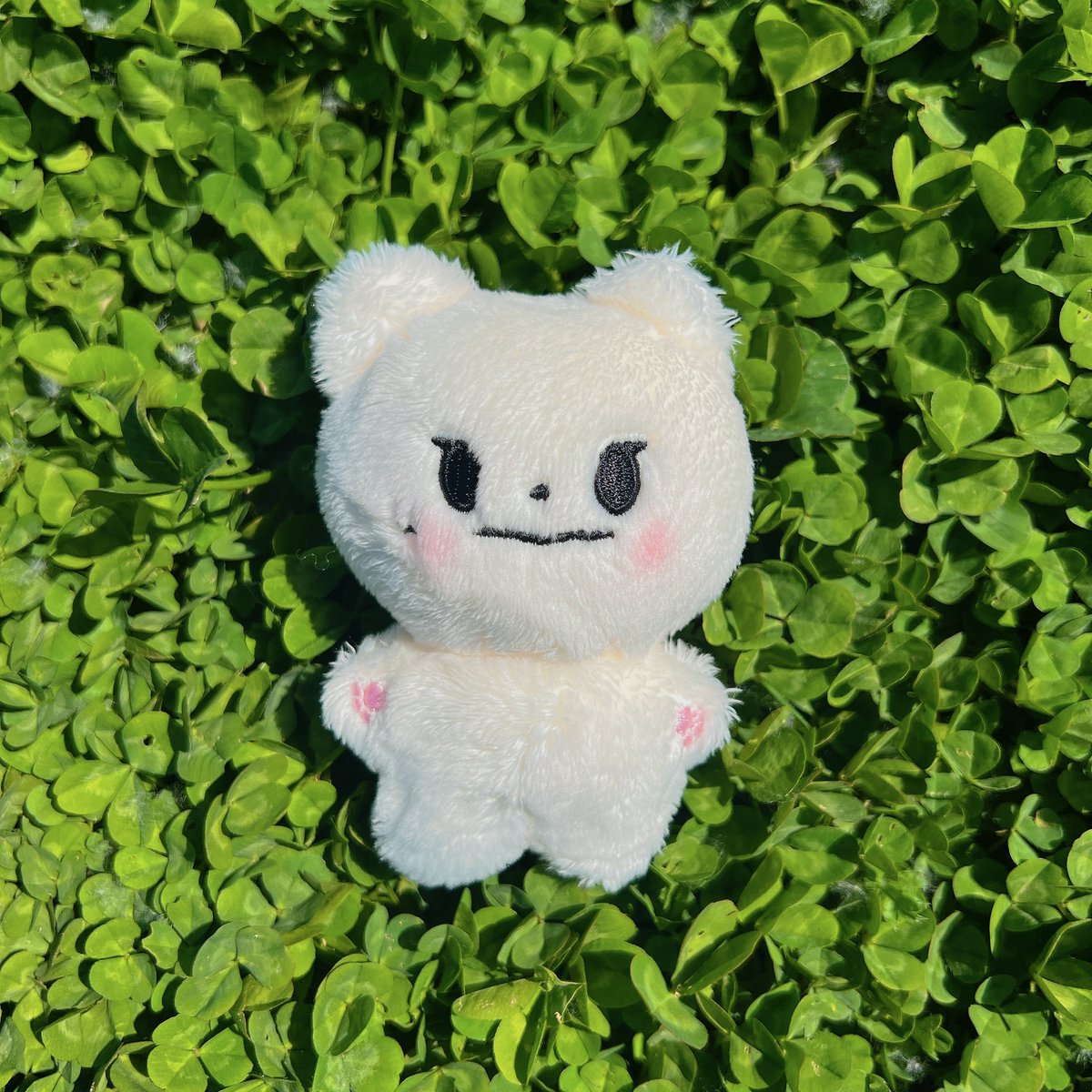 문네모🍀 tweet media