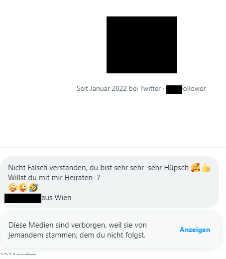 Meliszarah on Twitter: &ldquo;In den DMs geht es ja öfter schnell zur Sache