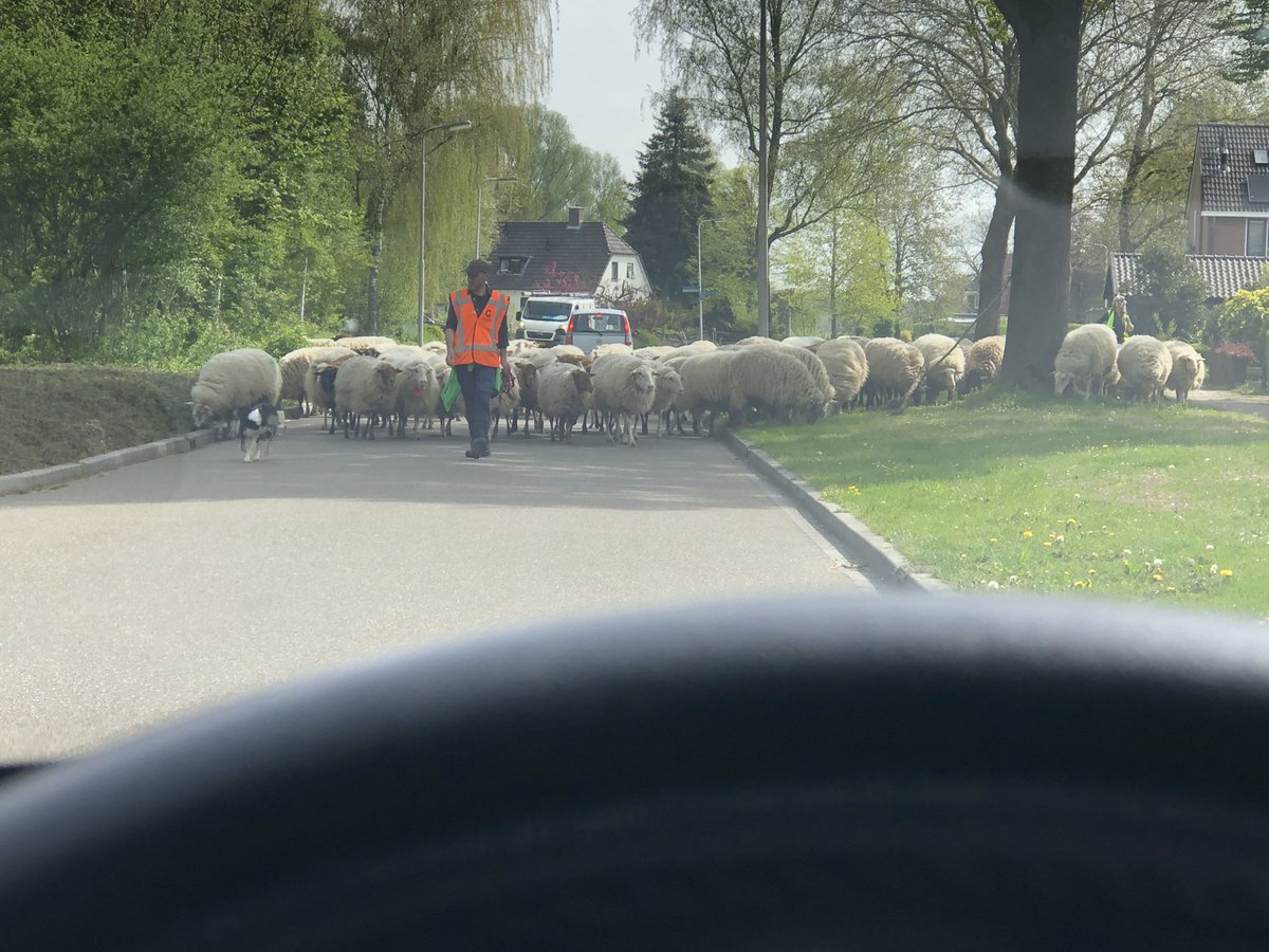 Ai! Komt een groep aan!