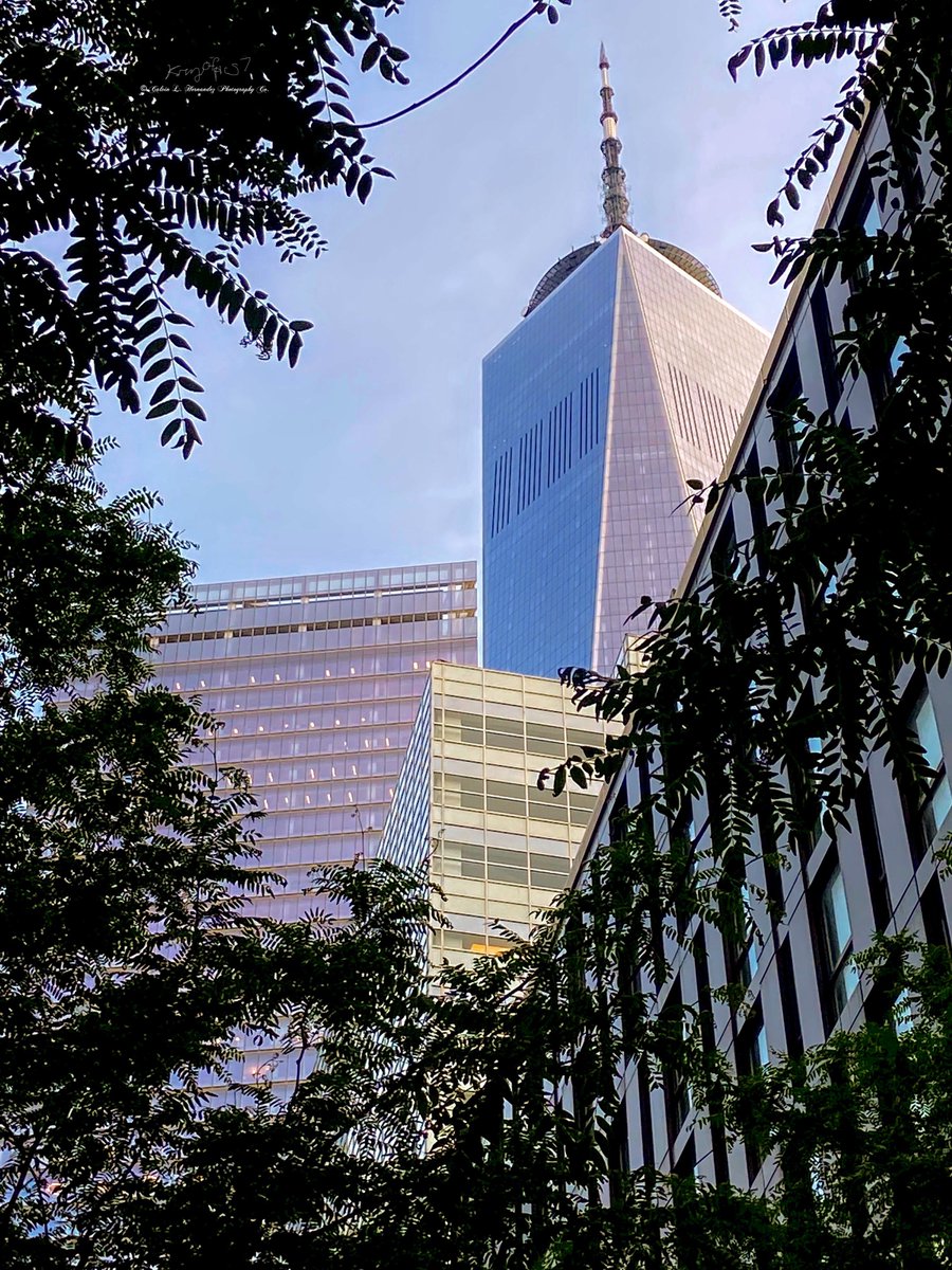 Architecture framed in flora..
#architecture #skyscrapers #wtc #onewtc #7wtc #tree #leaves #concretejungle #lowermanhattan #tribeca