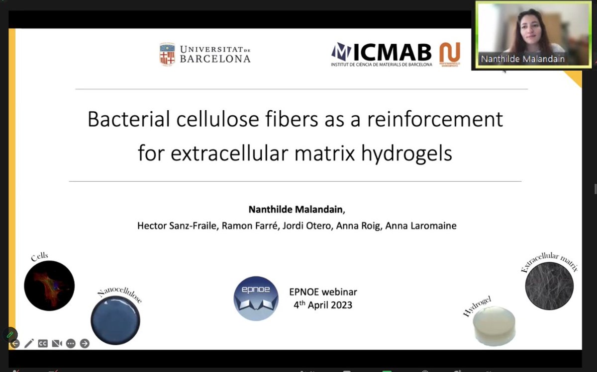 NNgroupICMAB's tweet photo. 📆It is happening now! Our PhD student @NanthildeMLD is explaining her latest results at @EpnoeA webinars! Well done!! #BacterialCellulose #Hidrogels https://t.co/UjZCvQKUG6