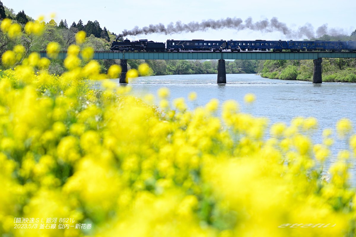 Kisekirei2503's tweet photo. ＳＬ銀河（5/3往路：花巻→釜石）
D51の銀河ドリーム号以来の全線通しで
撮影してきました
桜は終わったけど
新緑と菜の花が列車と共に輝いてました
#釜石線 #ＳＬ銀河 #鉄道のある風景 #ローカル線 https://t.co/Lc2GaTpTMd
