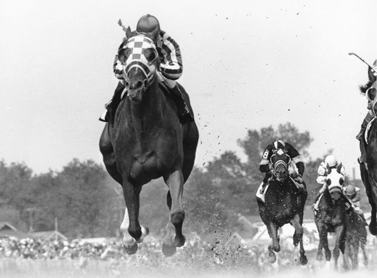 The_White_Stuf's tweet photo. Hard to believe it was 50 years ago N.B.‘s Ron Turcotte ride Secretariat to the Triple Crown. Harder to believe is I still remember it. I was 10. https://t.co/0giAjkp39X https://t.co/fHrCTYivph