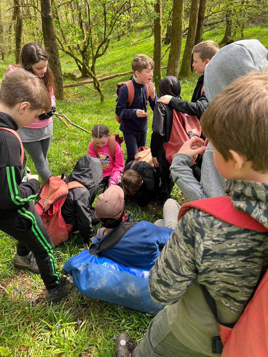 Halsneadschool's tweet photo. Eating wood sorrel #bushtucker #survival #readyforlunch https://t.co/5Yoejas10T