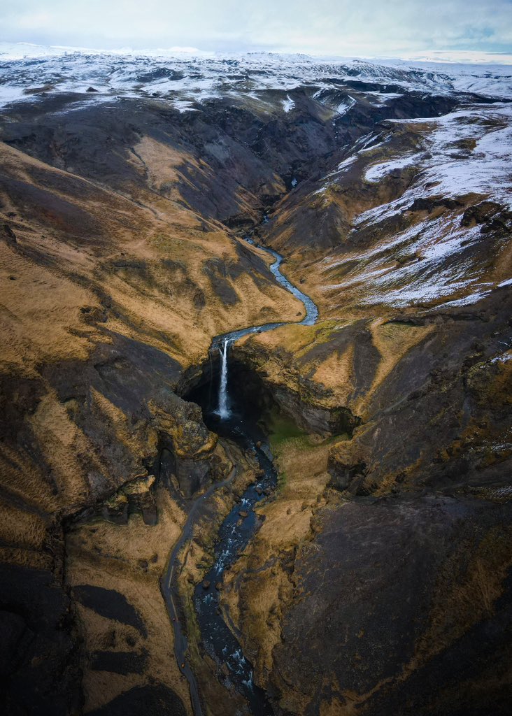 Sara Vozel tweet media