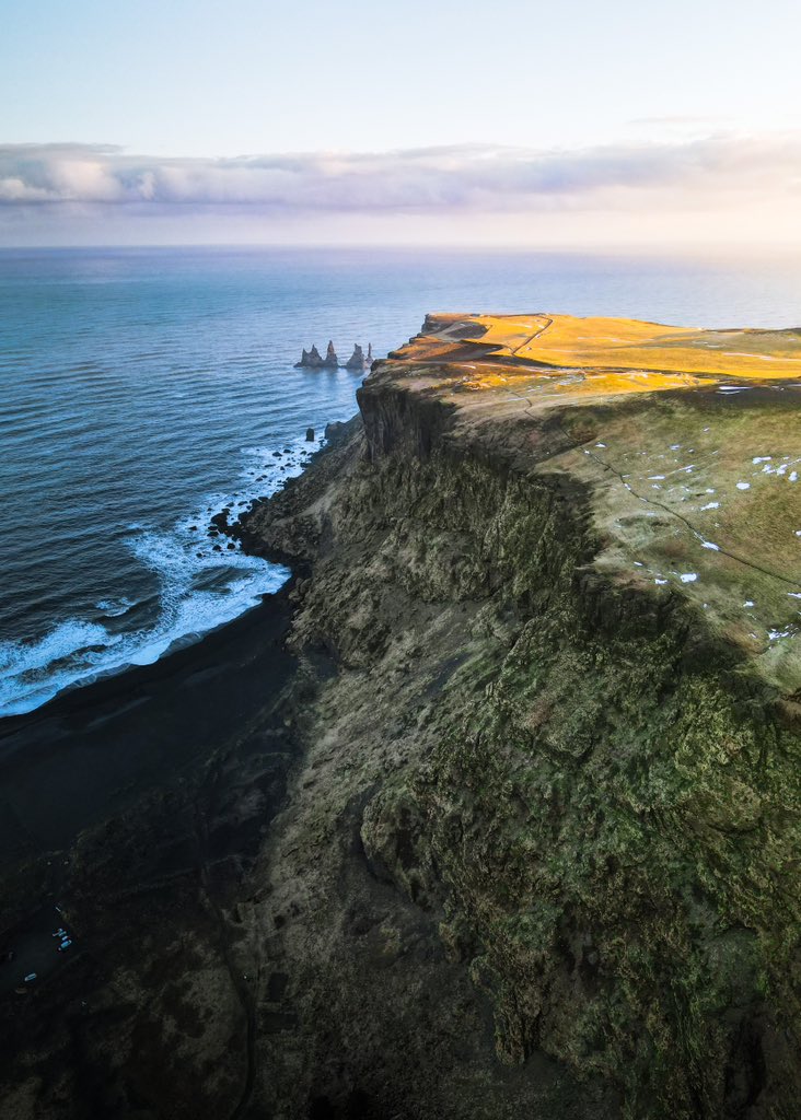 Sara Vozel tweet media