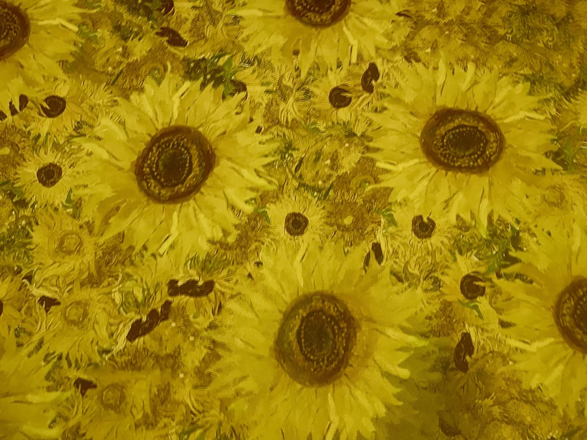 nayanamitter's tweet photo. “I don't know anything with certainty, but seeing the stars makes me dream.” 
#VanGogh #vangogh360 https://t.co/bPGQuohNgH