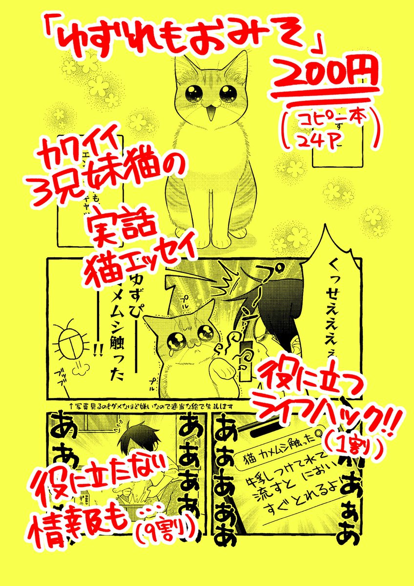 でぎだ!!! うちの猫コピー本出ます  #COMITIA144お品書き