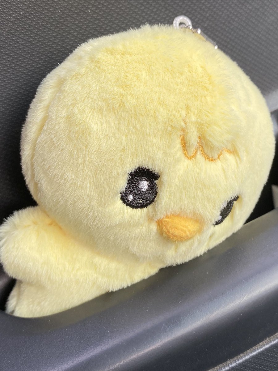 아기 💭 tweet media