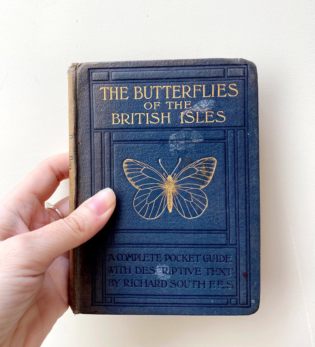 silverpebble's tweet photo. ORANGE TIP BUTTERFLIES ARE DOING MATING DANCES OVER MY GARLIC MUSTARD. Sorry for caps but I’m holding tight to every molecule of dopamine rn. Hope they have lots of sex &amp; babies in my garden. I adore my little ref. book, given to Betty Hoggan for Christmas, 1920.
Her writing🤍🧡 https://t.co/Bmk7FhQTgZ