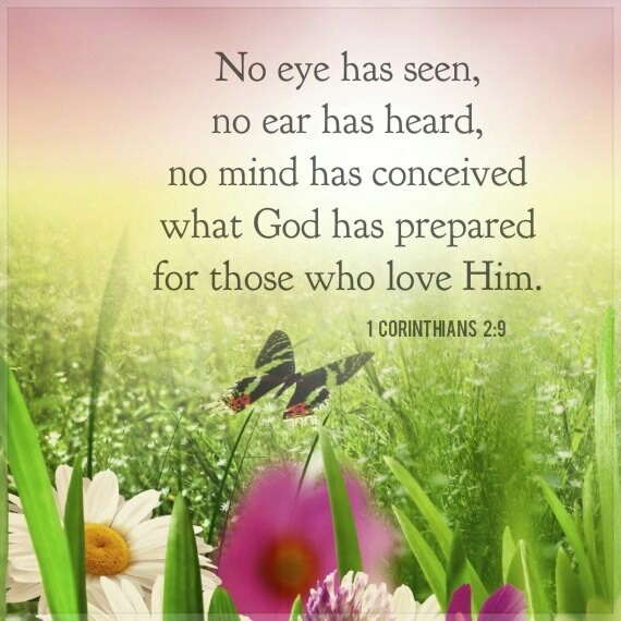 #Prayer🩷💚
Dear Lord God,
Despite all the haters and persecutors, those who don't believe in you
I still believe you show up in the darkest places
I thank you for being faithful to move through your Spirit to draw the lost and save them
Reveal your glory
#InJesusnameAmen