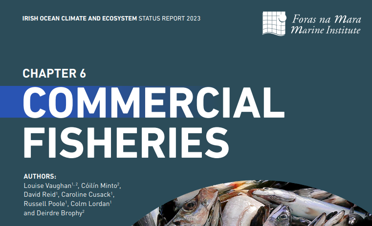 StephanieRonan's tweet photo. 🔖Read Louise Vaughan & co's Chapter 06: Commercial Fisheries directly from the
@MarineInst OAR repository here: Chapter 06 👉https://t.co/70l6kIErAq
Full report 👉https://t.co/hYHuTnqTNw
@ATU_GalwayCity
@ColmPers
#ClimateReportIE https://t.co/CBMmxlyoHB