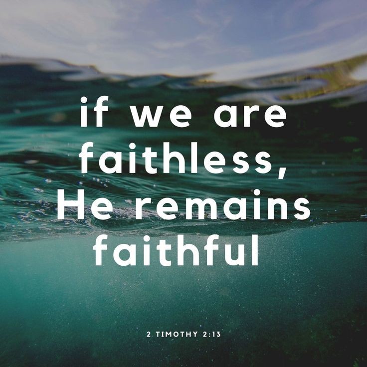 SunitaHines's tweet photo. #Pray💚🩶
Dear Lord
I lift up those who have given up, and their dreams haven't come to pass
They've already resolved that things won't get better
I thank you for leading them to show you the place where they gave up so they can be restored and believe again
#InJesusNameAmen https://t.co/3laXlYocql