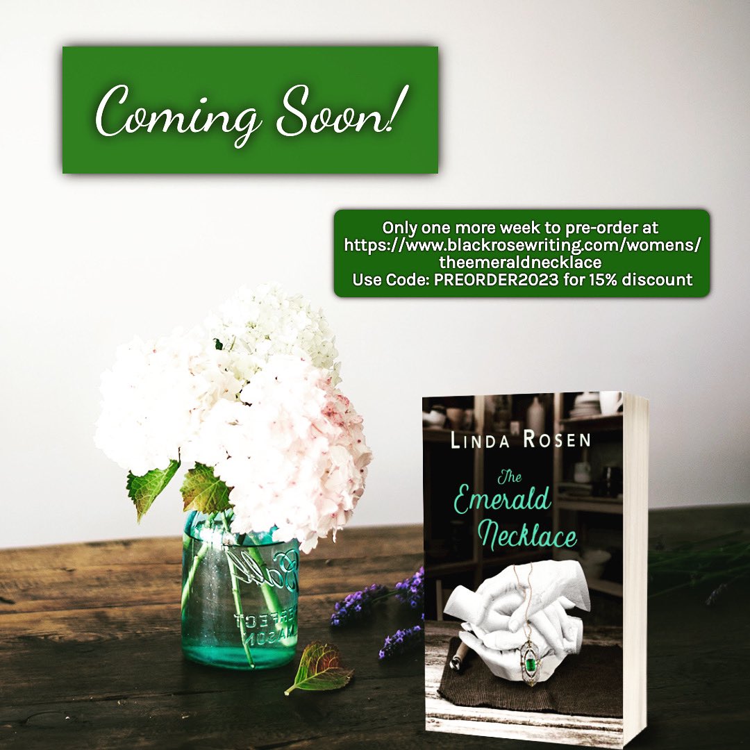 Linda Rosen (@lrosenauthor) on Twitter photo 