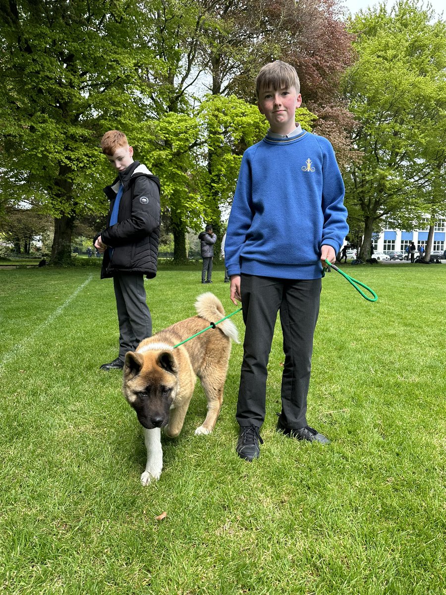 Students welcomed new additions to the school today during “bring your pet to work” as part of well-being week @moylepark #wellbeingweek #familyspirit