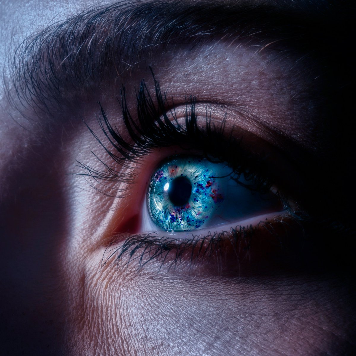 Arnaud Renouf tweet media