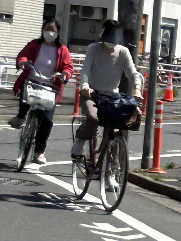 TJPattberg's tweet photo. Those morons all the way up to the station... 🫣🇯🇵👇🏻 https://t.co/HeCyYXNFpI