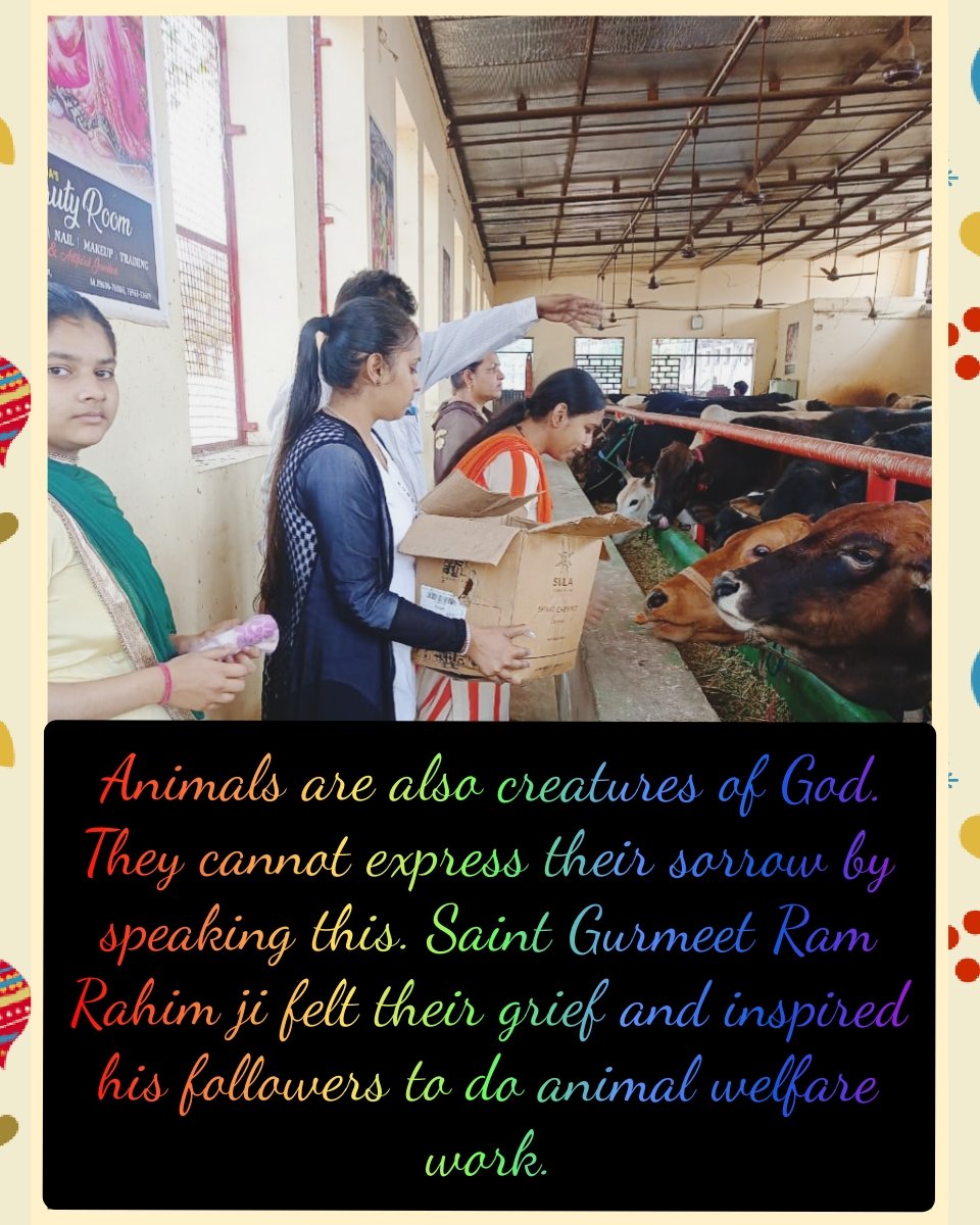 The volunteers of Dera Sacha Sauda organization come ahead to wipe tears and heal the wounds of injured. They take care of stray animals in every possible way to 
#EndCruelty 
His holiness Saint Gurmeet Ram Rahim Ji has started 
Animal Welfare initiative to save animals.