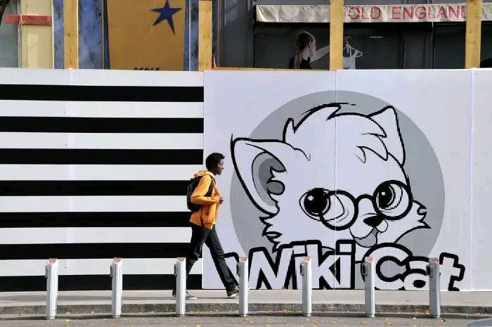 kriptobaker's tweet image. @WikiCatCoin is getting ready to showcase a better move and style 
#Wkc #WkcArmy